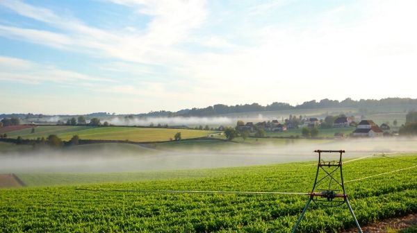 Découvrez 5 avantages de l'arrosage automatique à saint-claude-de-diray
