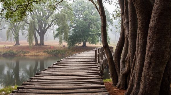 Les solutions incontournables pour protéger le bois à Brioude